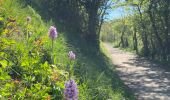 Trail Walking Curienne - Boucle de curienne  - Photo 8