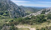 Tocht Stappen Saint-Rémy-de-Provence - Le plateau de Caume - Photo 6