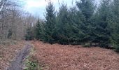 Percorso Marcia Liegi - angleur . bois saint Jacques / bois Saint Laurent. angleur - courte - Photo 11