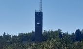 Tour Wandern Weismes - mont rigi . pont de beleu . botrange . baraque michel . mont rigi - Photo 7