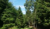 Randonnée Marche Theux - autour de Bronromme a travers campagne fagne et forêt  - Photo 10