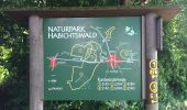 Excursión A pie Breuna - Naturpark Habichtswald: Rundwandweg 5 ab Wanderparkplatz Wettesingen - Photo 2