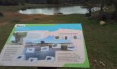 Trail Walking Viols-le-Fort - Viols le Fort chemin des tombes aven Vidal - Photo 11