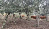 Excursión Senderismo Prunet-et-Belpuig - BOULETERNAIRE TRINITE - Photo 3