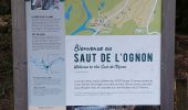 Trail Walking Servance-Miellin - Servante Saut de l'oignon - Photo 4