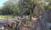 Trail Walking Laroque-des-Albères - laroque . pla d'en guinot . laroque - Photo 2
