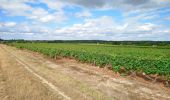 Randonnée Marche Rochecorbon - Rochecorbon - la Gaverie - 10km 180m 2h15 - 2016 04 10 - Photo 2