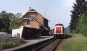 Randonnée A pied Elzach - Rundweg Goldener Kopf - Photo 8