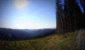 Tocht Mountainbike La Roche-en-Ardenne - activity_8521682946 - Photo 1