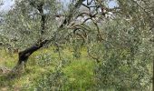 Tour Wandern Saussines - Saussines Les Capitelles de la Benovie - Photo 4