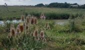 Tour Wandern Port-des-Barques - st froult entre mer et marais 11.5 - Photo 7