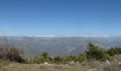 Tocht Stappen Bézaudun-les-Alpes - Mont Estellier au départ de Bézaudun - Photo 3