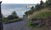 Excursión Ruta La Seyne-sur-Mer - fabregas, sémaphore du cap Sicié. sentier du littoral  - Photo 5