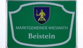 Randonnée A pied Gemeinde Wiesmath - Wiesmath - Beilstein - Wiesmath - Photo 4