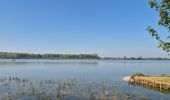 Trail Walking Arleux - Les marais d'Arleux - Photo 2