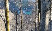 Excursión Senderismo Sewen - Lac d'Alfed et sa cascade - tour au pied du Ballon d'Alsace - Photo 17