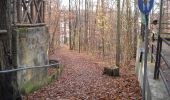 Percorso A piedi Forchheim - Forchheim-Weilersbach - Photo 4