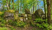 Randonnée Marche Thuin - Balade dans le Bois du Grand Bon Dieu-Thuin - Photo 12