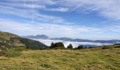 Tour Wandern Unknown - Le pic de Savis - Photo 4