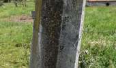Trail Walking Baelen - 20210618 - Moniteurs - Perkiets 4.8 Km - Photo 11