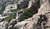 Tour Wandern Albertacce - Trou du diable du capu tafunatu - Photo 7