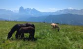 Excursión Senderismo Urtijëi - St. Ulrich in Gröden - Ortisei - Raschötz Alm - Photo 12