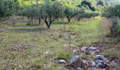 Tocht Stappen La Valette-du-Var - SityTrail - Boucle: Ripelle - Source Ripelle - Tourris - Grottes de sables - Carrière aux fourmis - Ruines des olivières - Touravelle - Ripelle - Photo 18