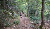 Trail Walking Saint-Christophe-sur-Guiers - Randonnée des trois cols - Photo 6