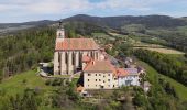 Excursión A pie Vorau - Pankaratiusweg Pöllauberg - Vorau - Photo 2