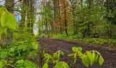 Tour Wandern Châtelet - Marche Adeps à Soleilmont - Photo 10