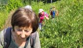 Trail Walking Le Tholy - cascades tendon - Photo 1