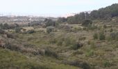 Tocht Mountainbike Frontignan - pioch de la barre - Photo 9