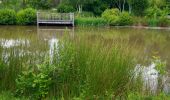 Tocht Stappen Nouan-le-Fuzelier - promenade de nouan  - Photo 4