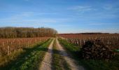 Trail Walking Francueil - Chenonceaux - GR41 Francueil - 12.7km 160m 2h45 - 2022 01 01 - Photo 5