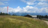 Randonnée Marche Lüsen - Luson - Lüsner Alm - Rastnerhütte - Photo 15