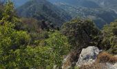 Trail Walking Villars-sur-Var - de Villars à St jean  - Photo 4