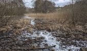 Excursión A pie Königs Wusterhausen - Wanderlehrpfad um den Wernsdorfer See - Photo 4