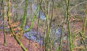 Excursión Senderismo Bouillon - Rochehaut 190323 - Photo 11