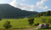 Excursión A pie Ramsau bei Berchtesgaden - Wanderweg 70 (Rund um den Toten Mann) - Photo 9