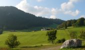 Tour Zu Fuß Ramsau bei Berchtesgaden - Wanderweg 75 (Rund um den Schmuckenstein) - Photo 1