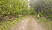 Percorso A piedi Weinheim - Rundwanderweg Bärsbacher Weg 2: Eichelberg-Weg - Photo 9