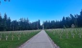 Trail Walking Orbey - Autour du Linge - Photo 6