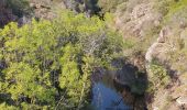 Trail Walking Roquebrune-sur-Argens - sral gorges du blavet 03/05/2023 - Photo 1