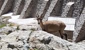 Trail Walking Tende - lac de l agnel - Photo 4