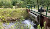 Tour Wandern Pelt - De Wulp Hageven Grote Heide 24 km - Photo 14