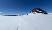 Tocht Sneeuwschoenen La Croix-sur-Roudoule - Haute Mihubi  - Photo 7
