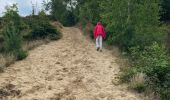 Trail Walking Maaseik - Gruitroderbos -  dunes - Photo 13