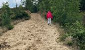 Randonnée Marche Maaseik - Gruitroderbos -  dunes - Photo 13