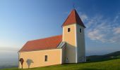 Tour Zu Fuß Pöllauberg - Grafendorf Masenberg Weg 18 - Photo 8