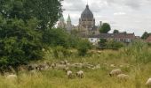 Tour Wandern Maastricht - 2022-06-10_16h16m23_1459 - Photo 8